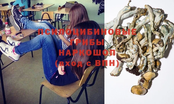 прущие крисы Алзамай
